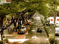 ONIGIRI PROMENADE INC.