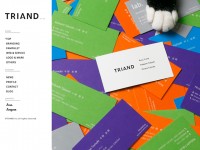 TRIAND Inc.